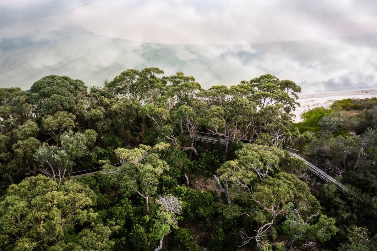 Conjola "Above the Tree Tops" Acrylic Block - Belinda Doyle - Australian Photographer & Resin Artist