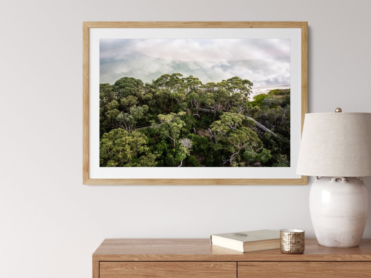 "Above the Tree Tops" Photography Print - Belinda Doyle - Australian Photographer & Resin Artist
