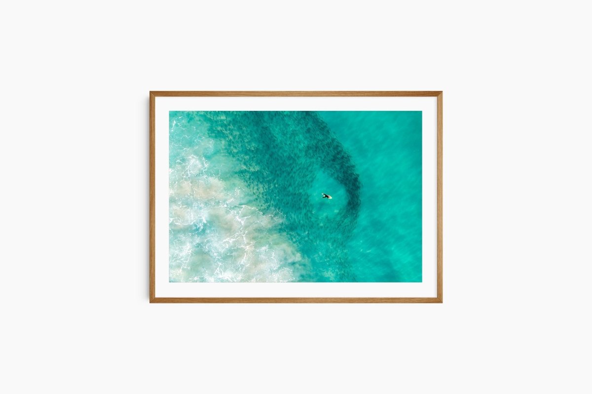 "Bait Ball Ballet" Photography Print - Belinda Doyle - Australian Photographer & Resin Artist