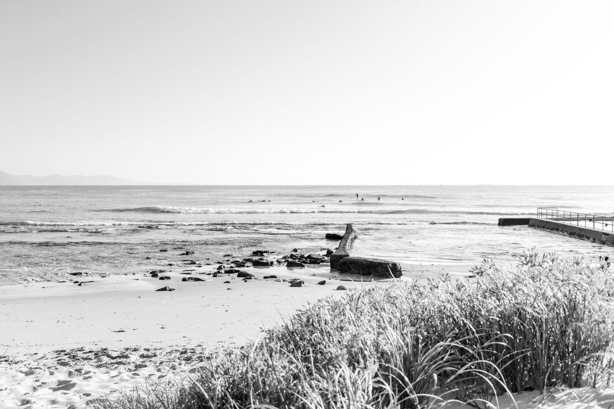 "Bellambi Bloom" BW Photography Print - Belinda Doyle - Australian Photographer & Resin Artist