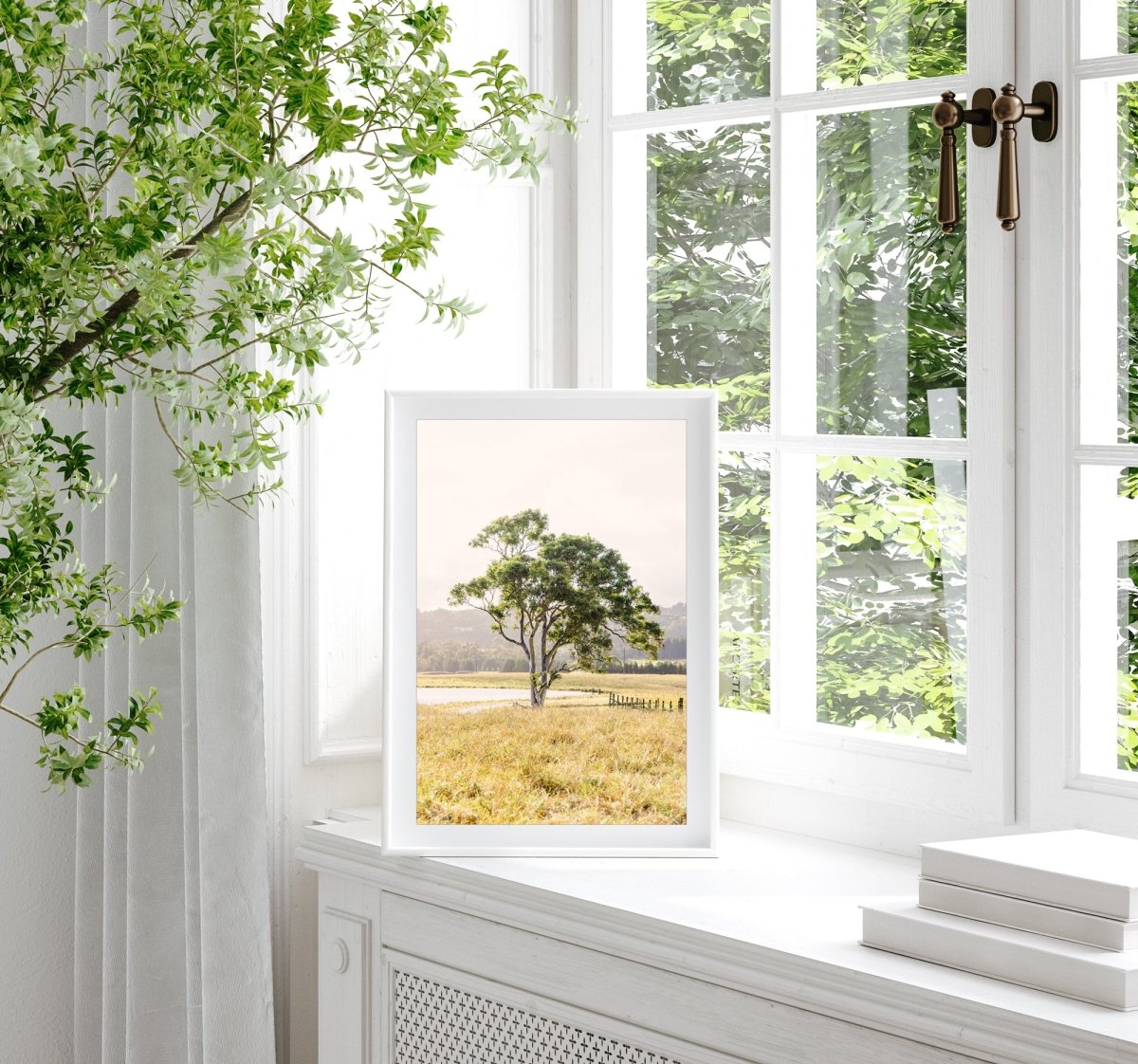 "Bendooley Gum" Photography Print - Belinda Doyle - Australian Photographer & Resin Artist