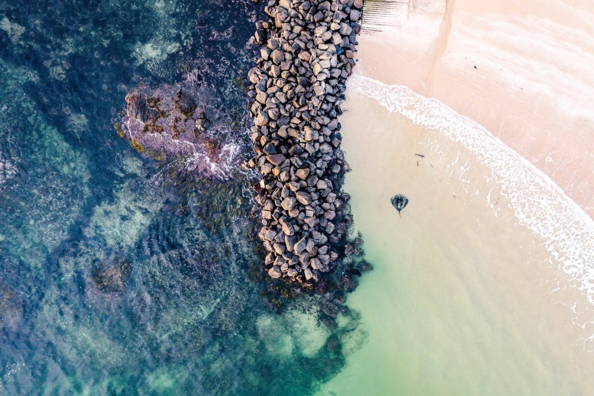 "Boat Ramp Guardian" Photography Print - Belinda Doyle - Australian Photographer & Resin Artist