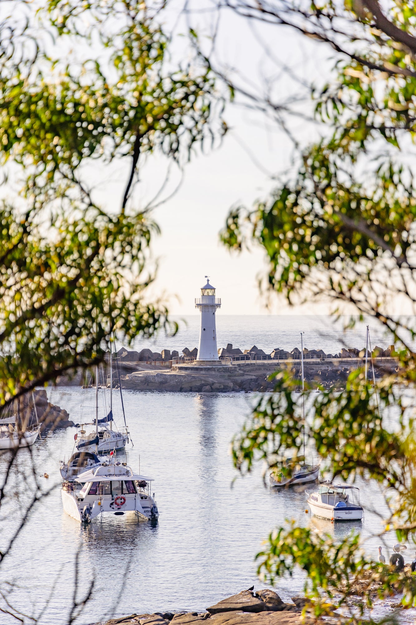 "Breakwater Light" Photography Print