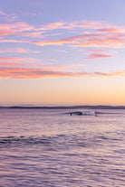 Broulee "Stoked" Acrylic Block - Belinda Doyle - Australian Photographer & Resin Artist