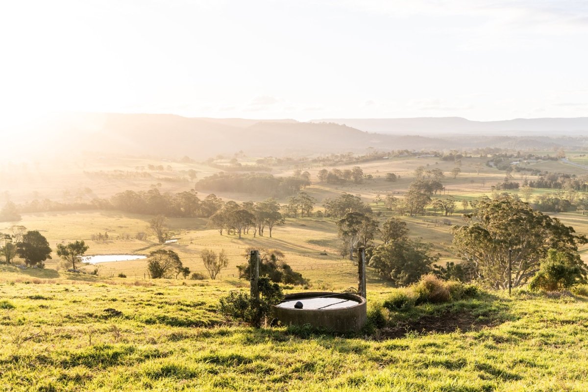 "Corks Lane Watering Hole" Photography Print - Belinda Doyle - Australian Photographer & Resin Artist