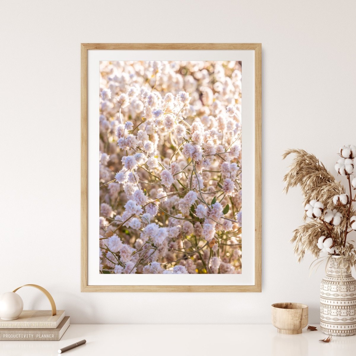 "Cotton Bush Bloom" Photography Print - Belinda Doyle - Australian Photographer & Resin Artist