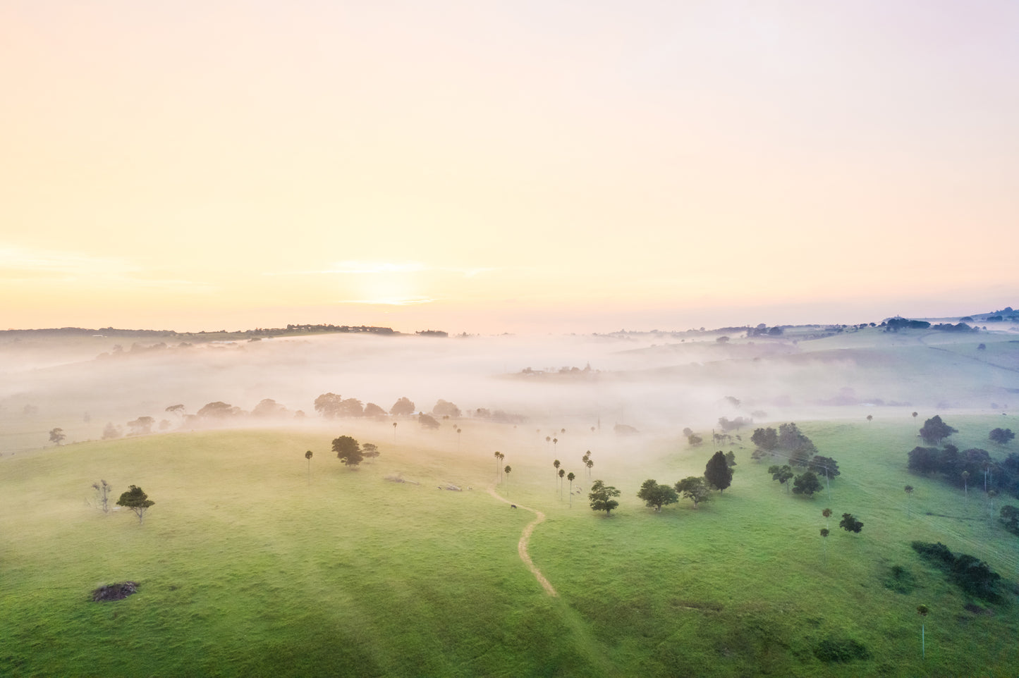 "Country Canvas" Photography Print