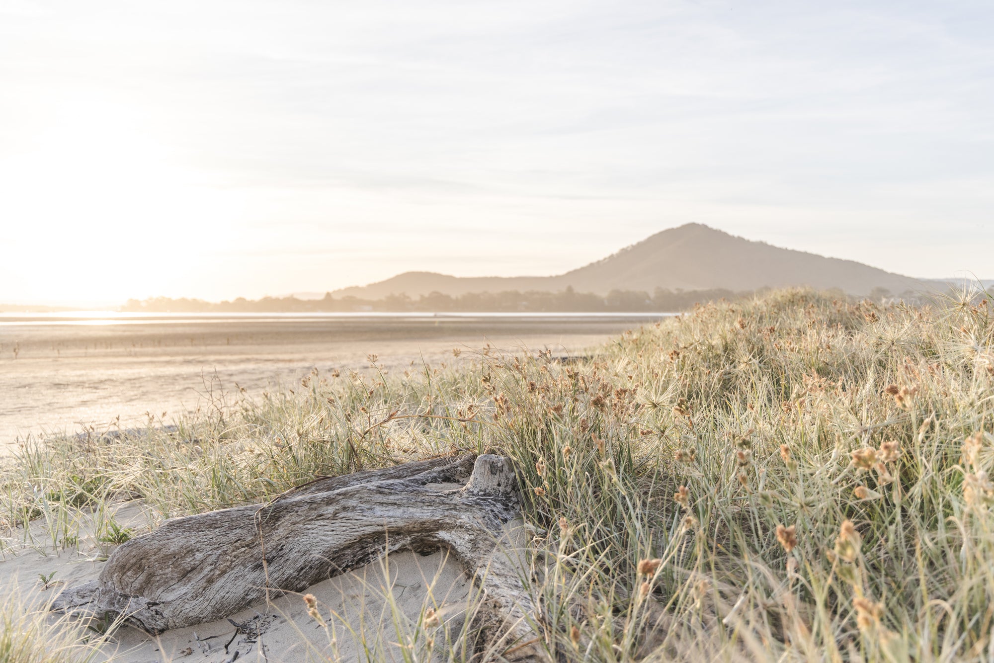 "Driftwood Light" Photography Print - Belinda Doyle - Australian Photographer & Resin Artist