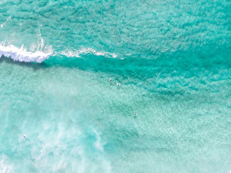 "Fresh Clarity" Photography Print - Belinda Doyle - Australian Photographer & Resin Artist