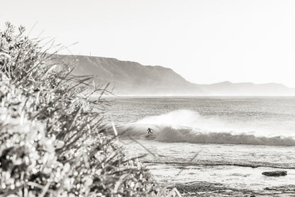 "From the Steps" BW Photography Print