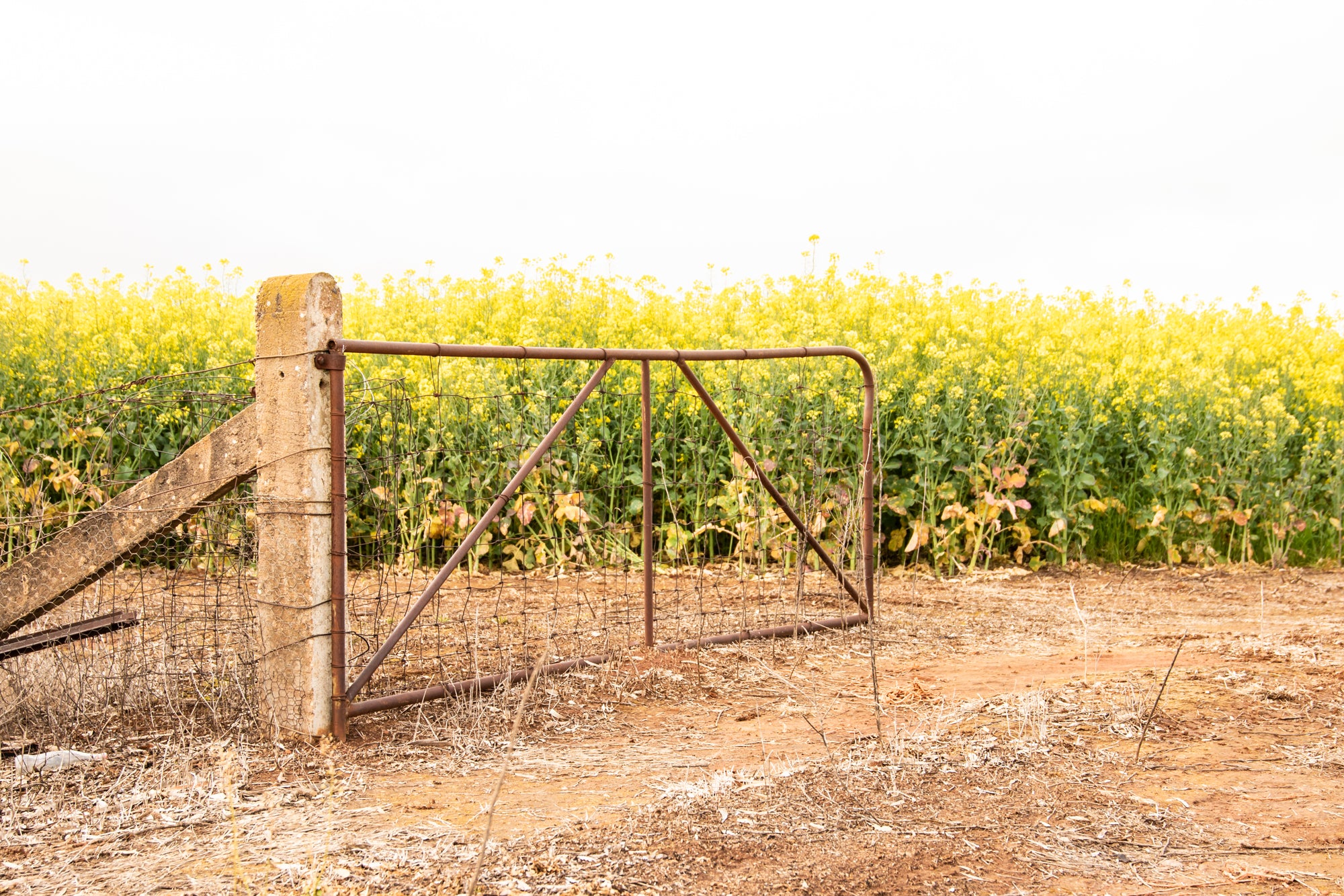 "Goldfields Gate" Photography Print - Belinda Doyle - Australian Photographer & Resin Artist