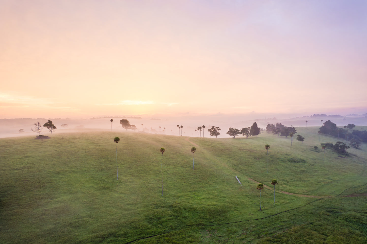 "Misty Morning Echoes" Photography Print