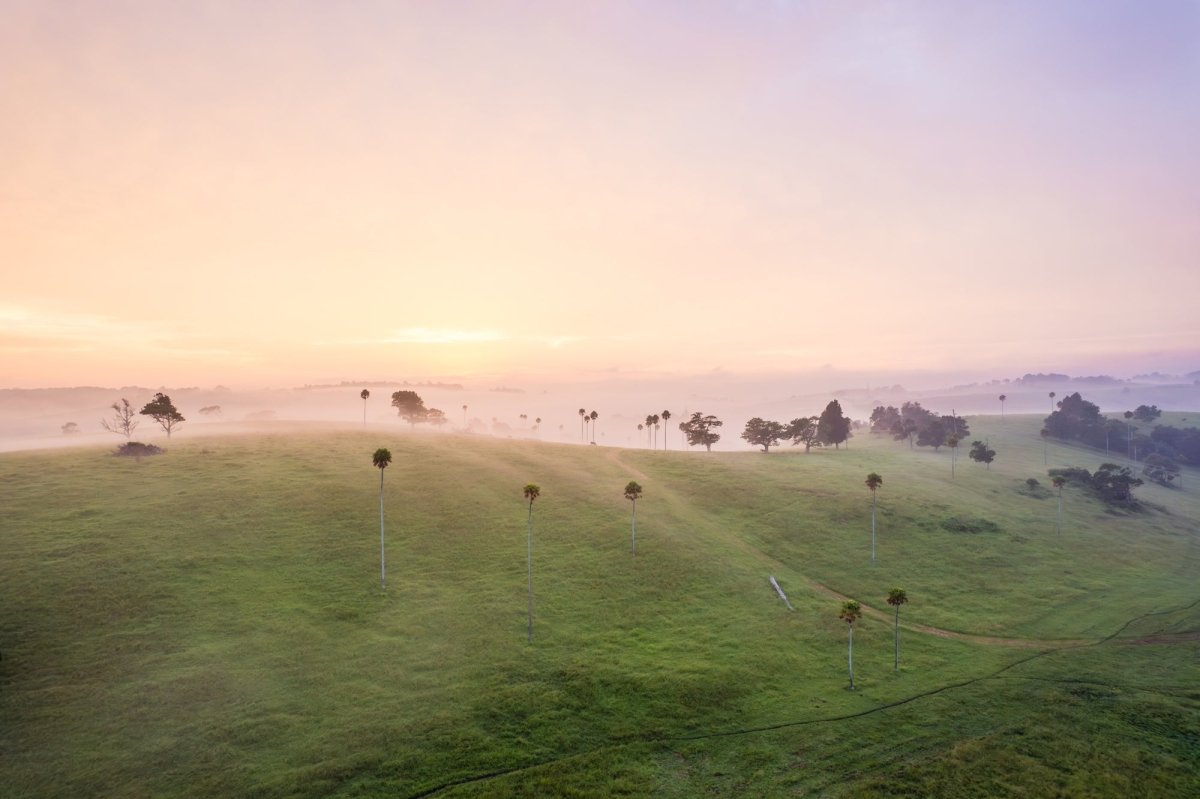Jamberoo "Misty Morning Echoes" Acrylic Block - Belinda Doyle - Australian Photographer & Resin Artist