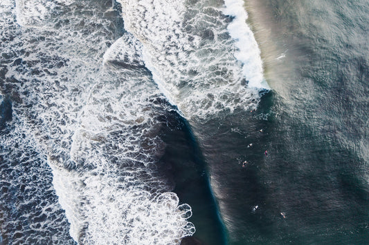 "Drama Break" Photography Print