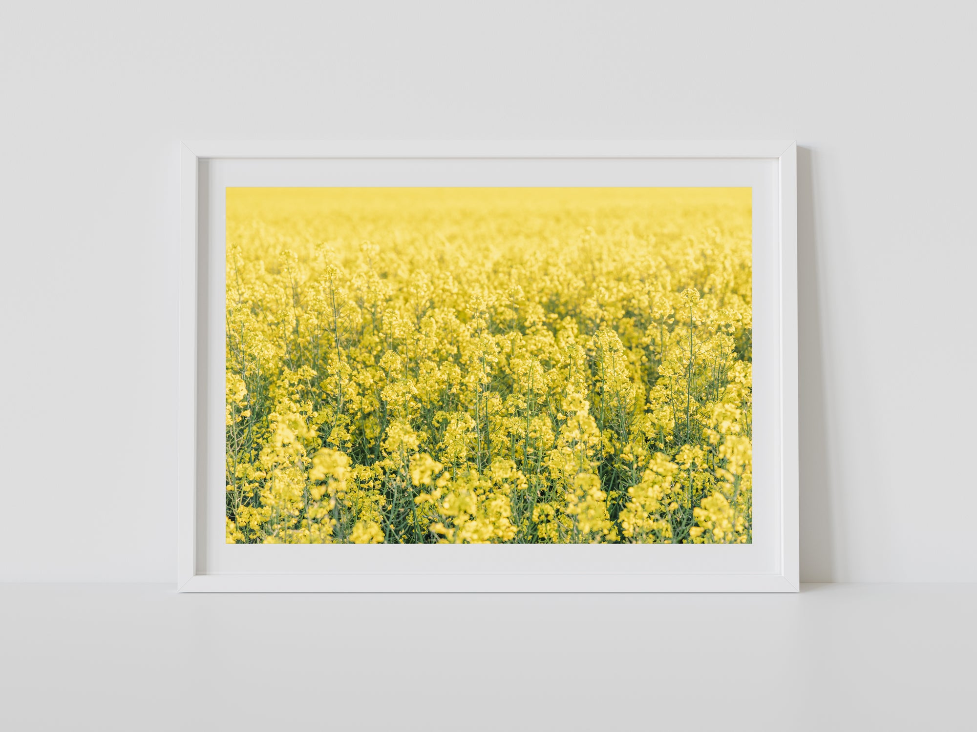 "Hello Yellow" Photography Print - Belinda Doyle - Australian Photographer & Resin Artist