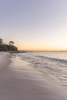 "Hyams Glow" Photography Print - Belinda Doyle - Australian Photographer & Resin Artist