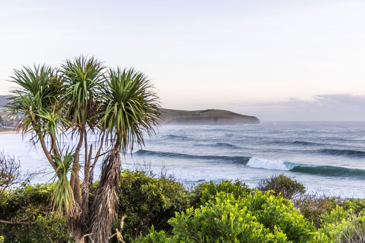 "Landscaped Vignette" Photography Print - Belinda Doyle - Australian Photographer & Resin Artist
