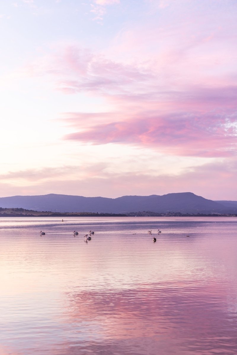 Lake Illawarra "Lilac Lullaby" Acrylic Block - Belinda Doyle - Australian Photographer & Resin Artist