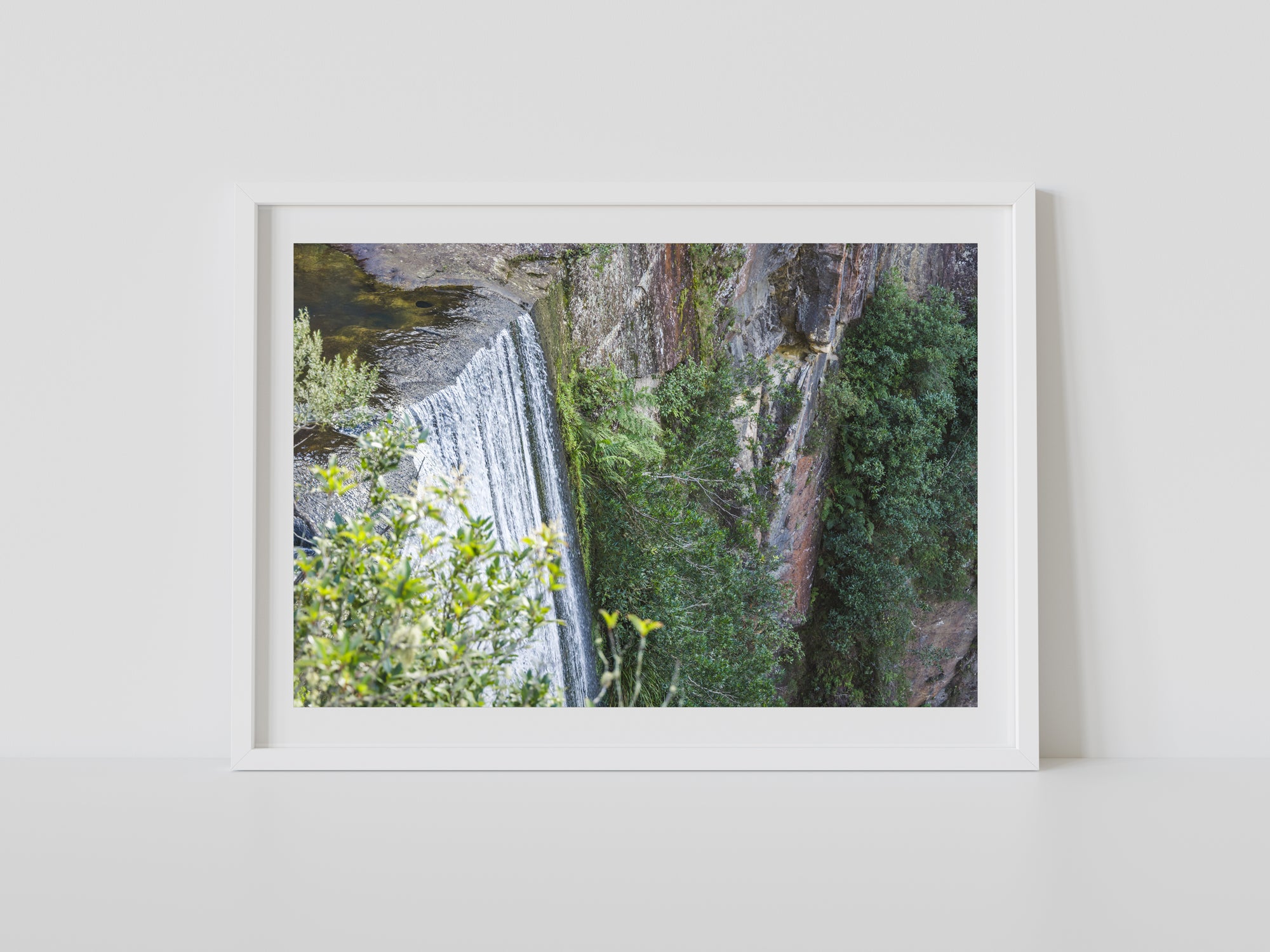 "Lush Belmore" Photography Print - Belinda Doyle - Australian Photographer & Resin Artist