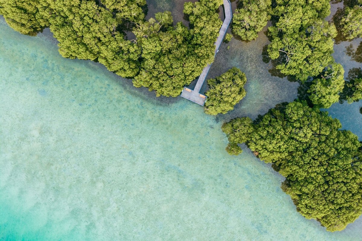 Huskisson "Mangrove Boulevard" Acrylic Block - Belinda Doyle - Australian Photographer & Resin Artist