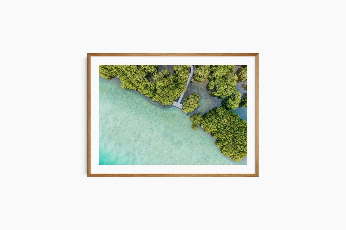 "Mangrove Boulevard" Photography Print - Belinda Doyle - Australian Photographer & Resin Artist