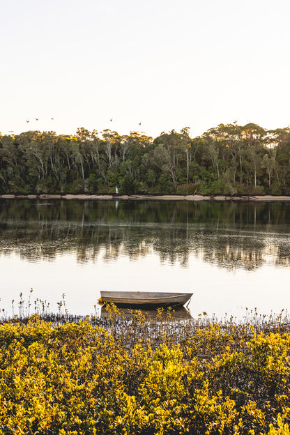 "Mangrove Magic" Photography Print