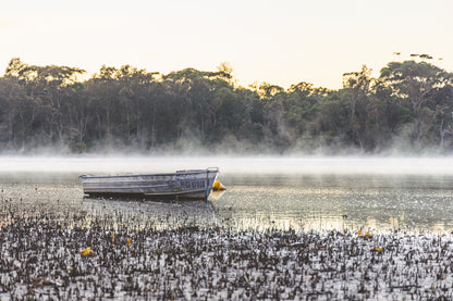 "Misty Morning" Photography Print