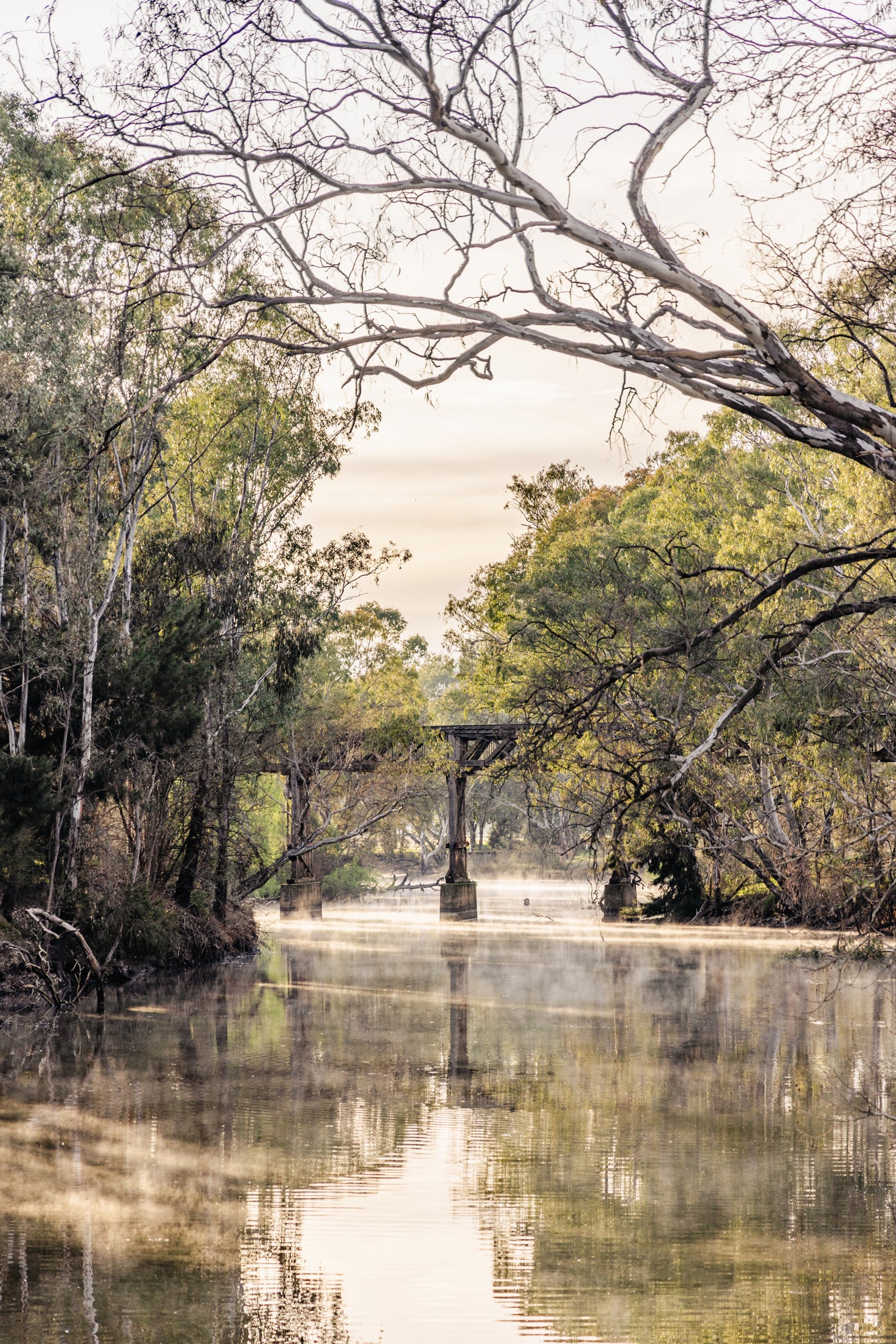 "Misty Remnant" Photography Print