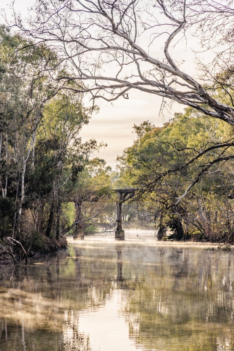 "Misty Remnant" Photography Print - Belinda Doyle - Australian Photographer & Resin Artist