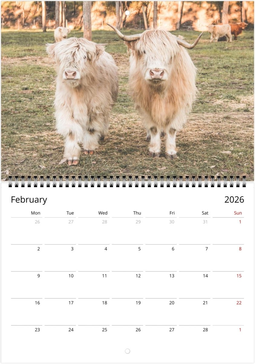 Rural 2026 Calendar - Belinda Doyle - Australian Photographer & Resin Artist