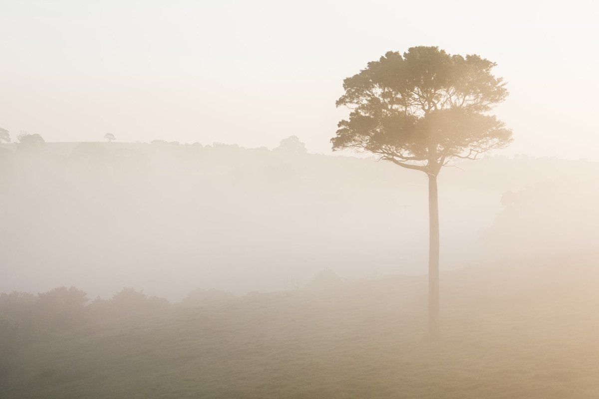 Jamberoo "Morning Fog LS" Acrylic Block