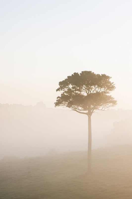 Jamberoo "Morning Fog" Acrylic Block