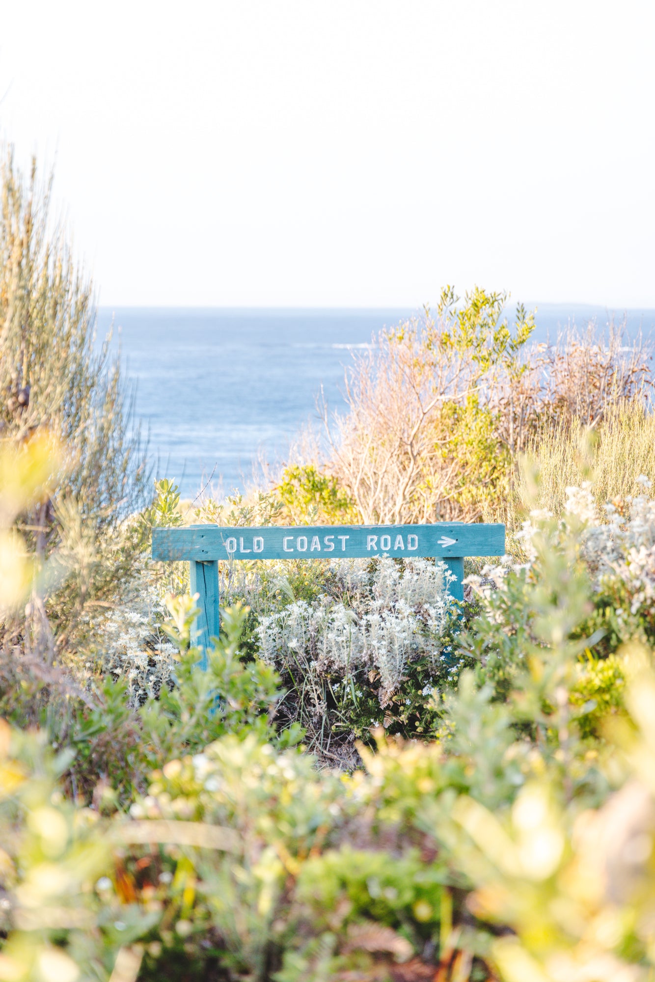 "The Old Coast Road" Photography Print