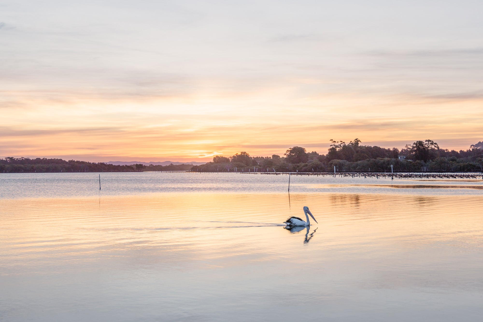 "Oyster Skies" Photography Print - Belinda Doyle - Australian Photographer & Resin Artist