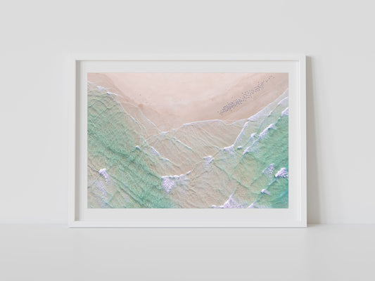 "Pastel Flight" Photography Print