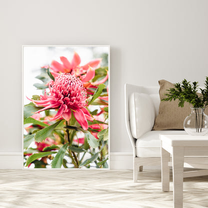 "Pure Petals" Photography Print