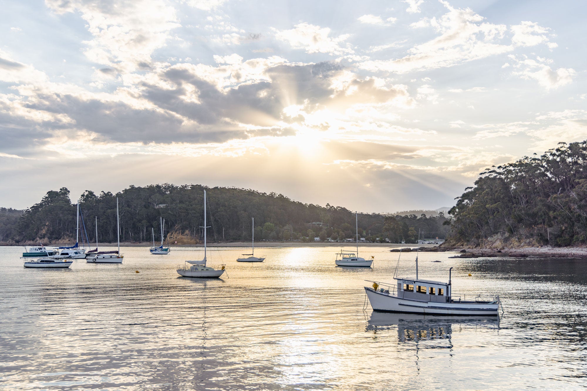 "Quarantine Glow" Photography Print - Belinda Doyle - Australian Photographer & Resin Artist