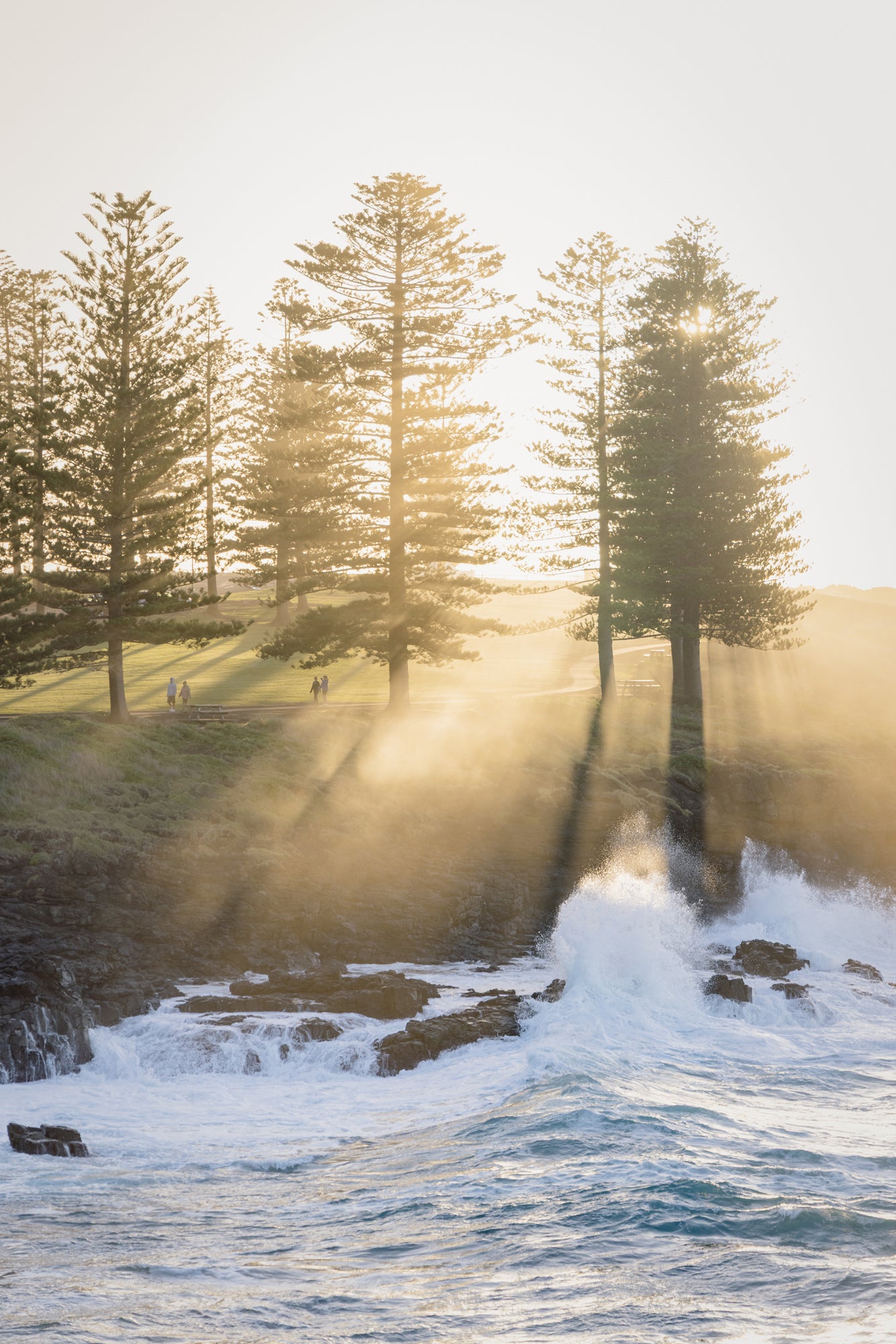 "Rays for Days" (P) Photography Print - Belinda Doyle - Australian Photographer & Resin Artist