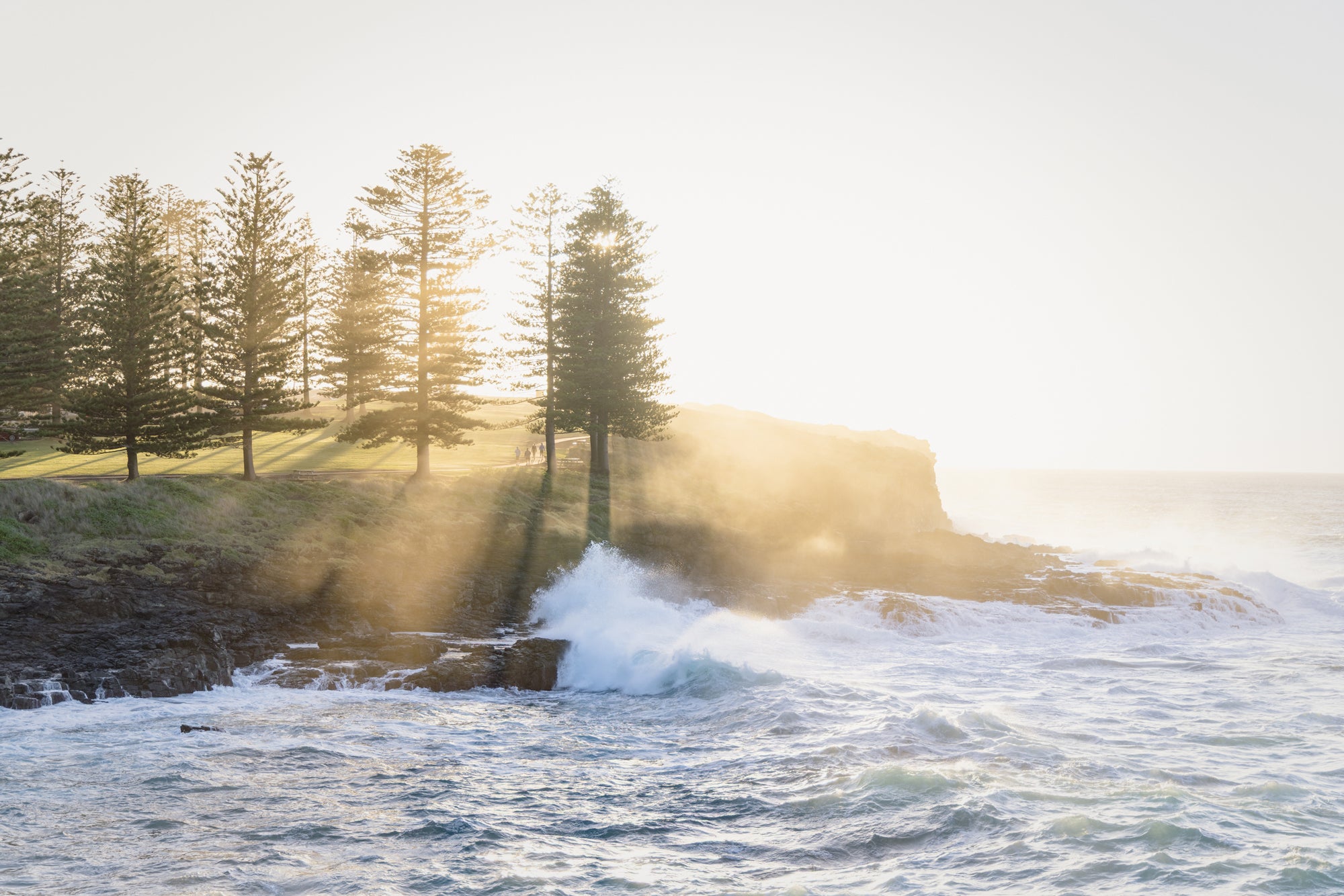 "Rays for Days" Photography Print - Belinda Doyle - Australian Photographer & Resin Artist