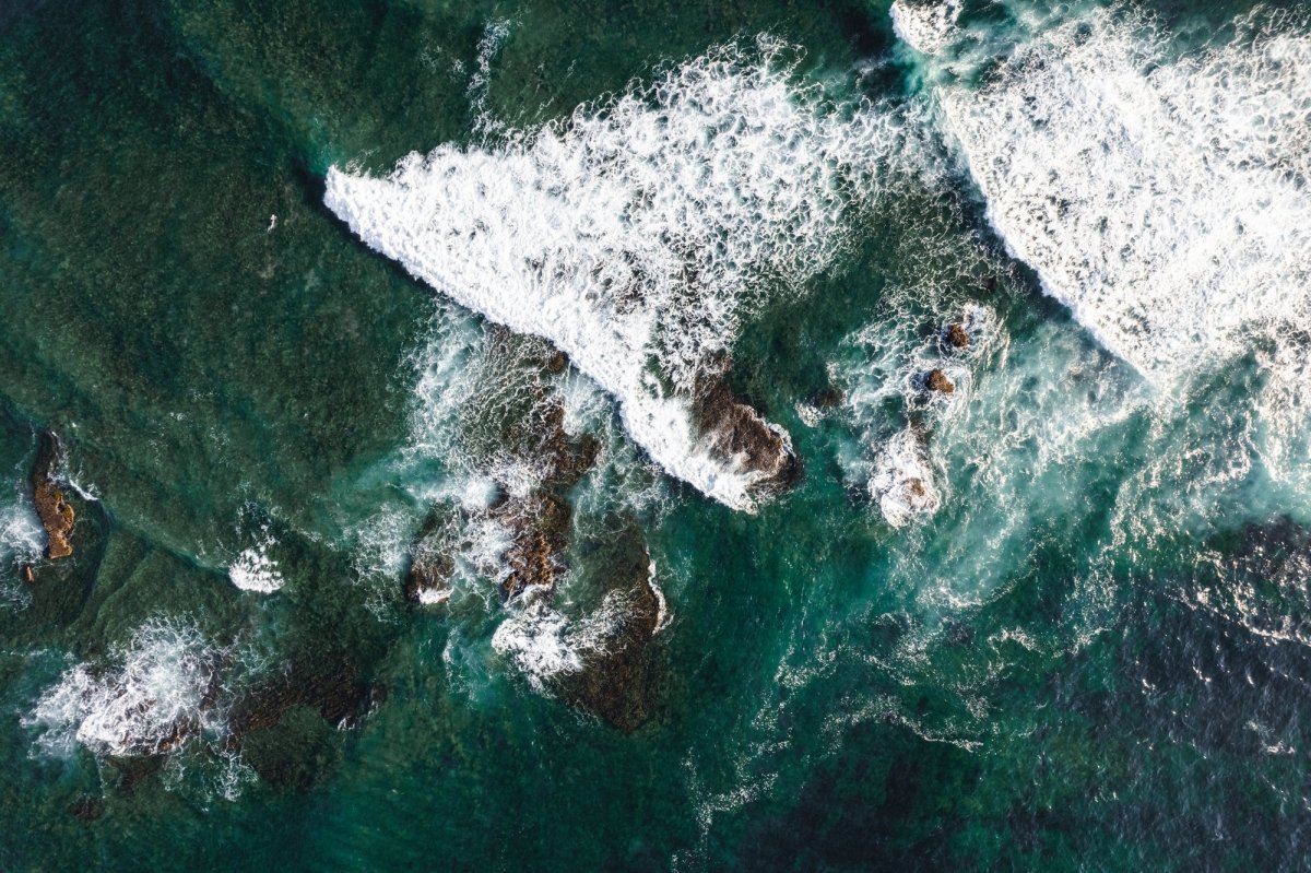 "Reef Textures" Photography Print - Belinda Doyle - Australian Photographer & Resin Artist