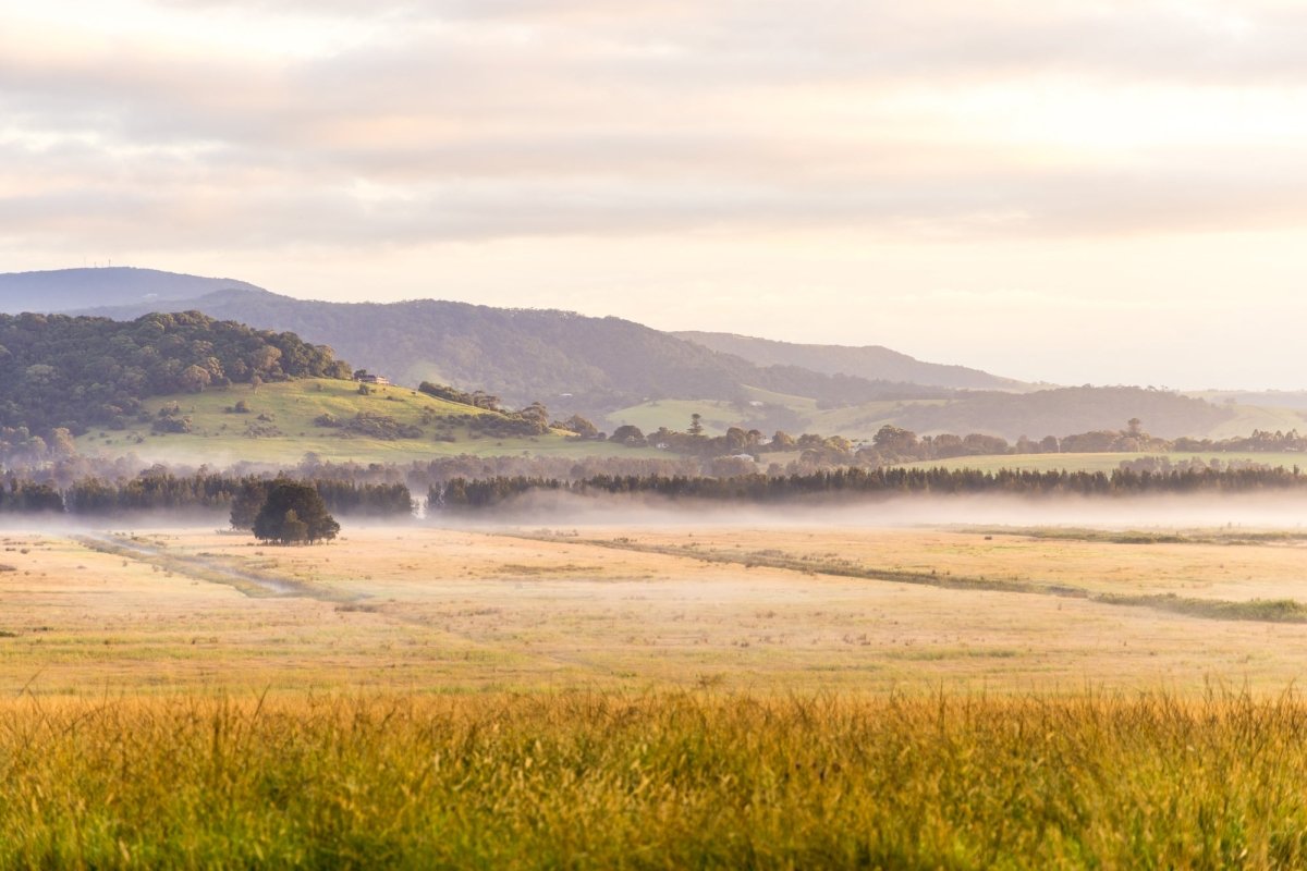 Berry "Rural Reverie" Acrylic Block - Belinda Doyle - Australian Photographer & Resin Artist