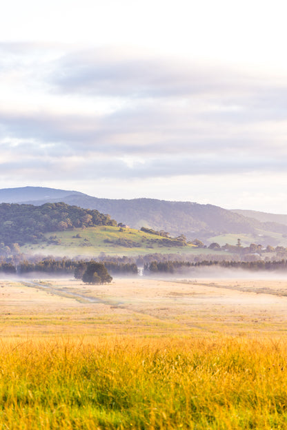 "Rural Reverie" (P) Photography Print