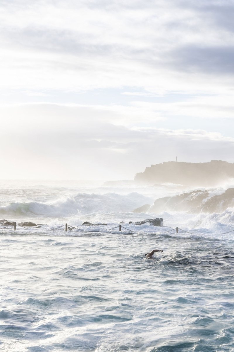"Salty Determination" Photography Print - Belinda Doyle - Australian Photographer & Resin Artist