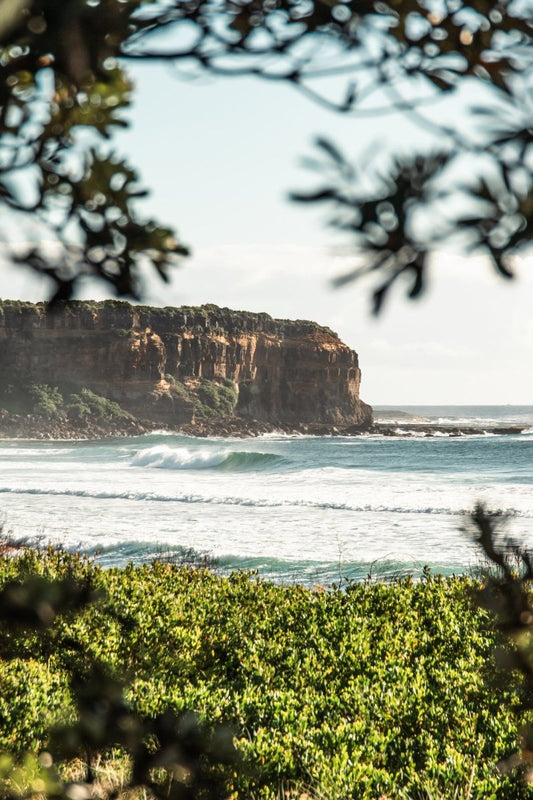 Gerringong "Shade Dweller" (P) Acrylic Block