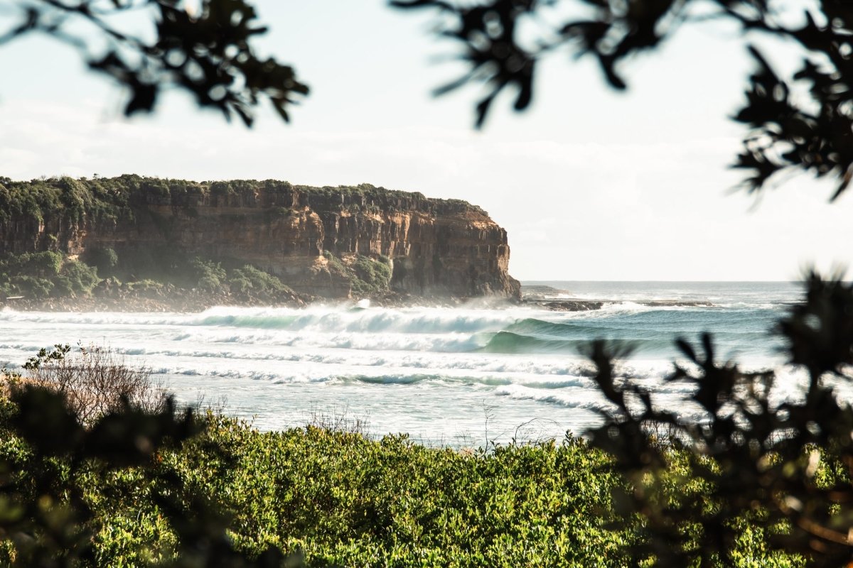 Gerringong "Shade Dweller" Acrylic Block