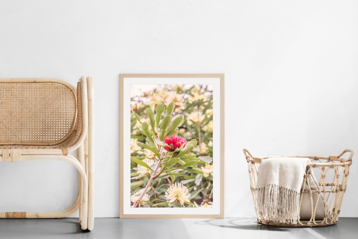 "Soft Strength" Photography Print - Belinda Doyle - Australian Photographer & Resin Artist