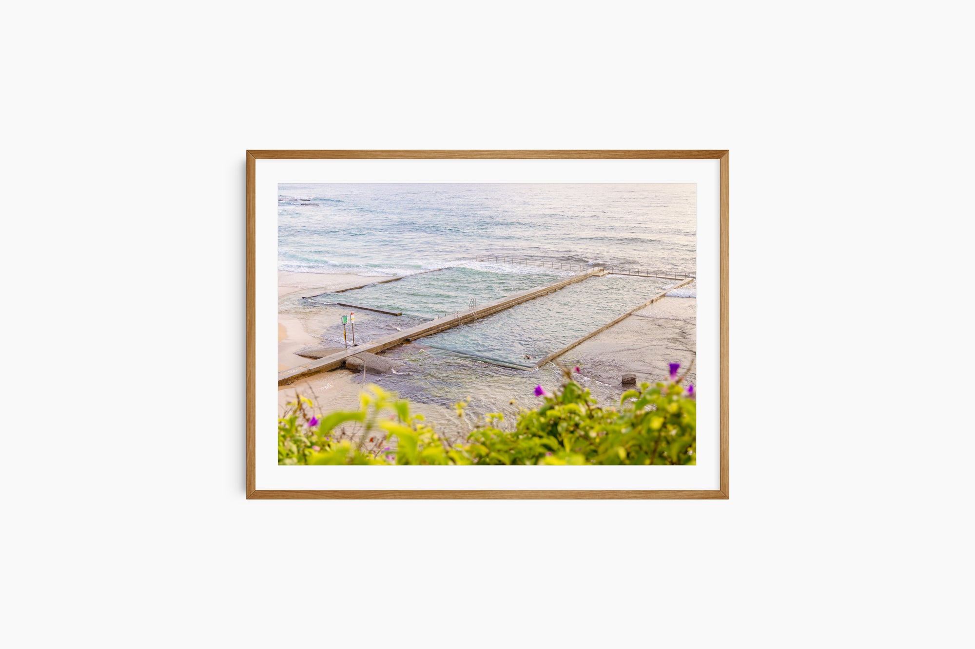 "Solo Arrangement" Photography Print - Belinda Doyle - Australian Photographer & Resin Artist