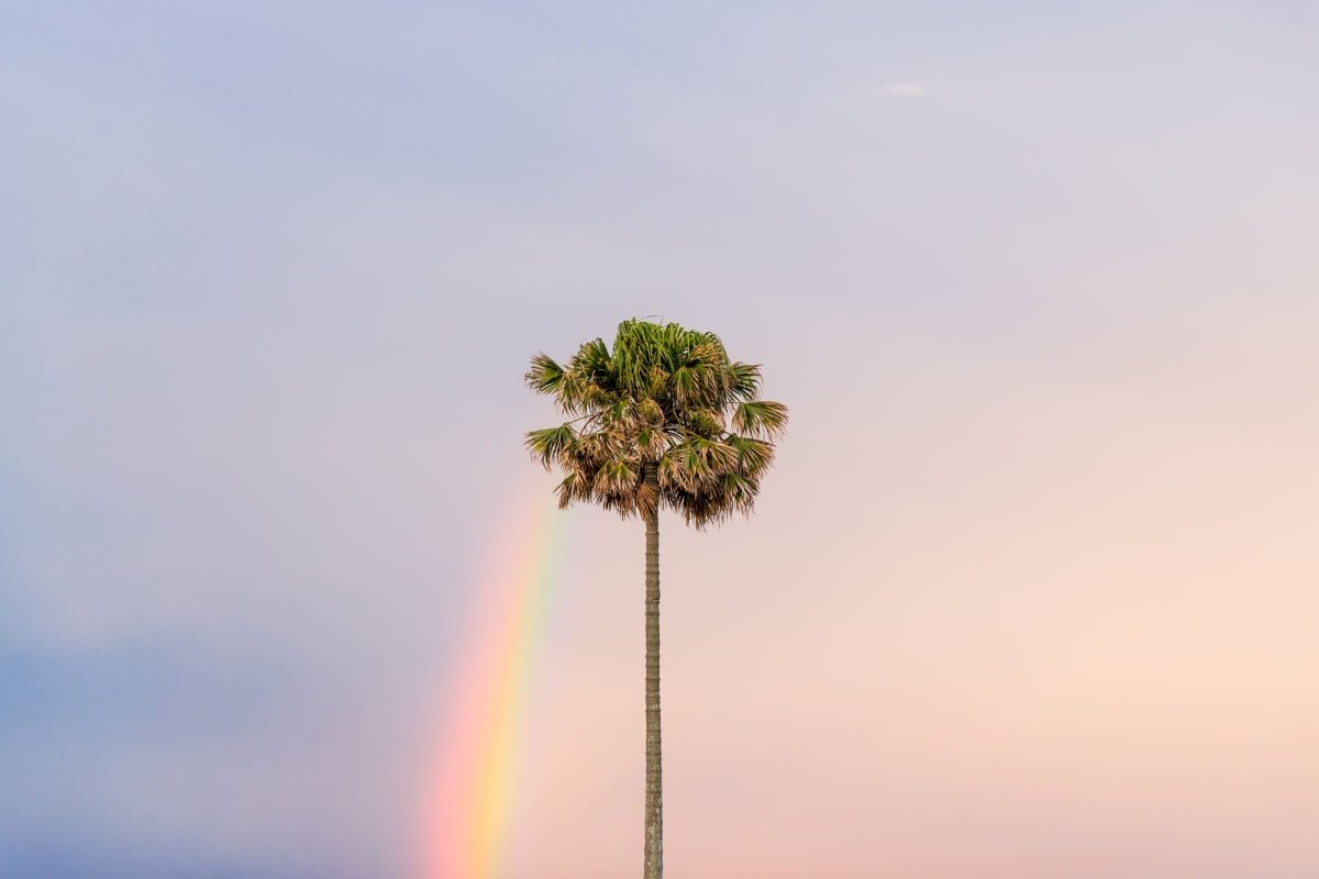 "South Coast Serendipity" Photography Print - Belinda Doyle - Australian Photographer & Resin Artist