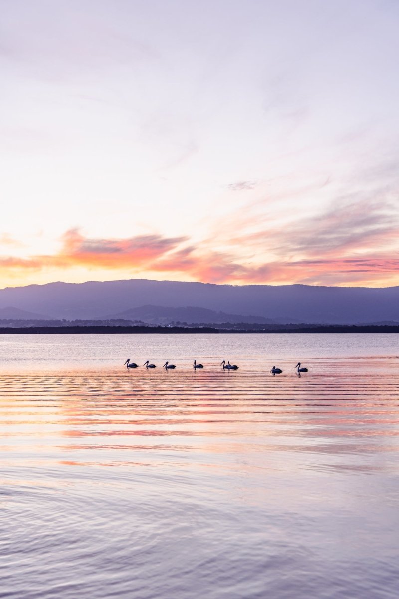 "Sundown Stillness" (P) Photography Print - Belinda Doyle - Australian Photographer & Resin Artist