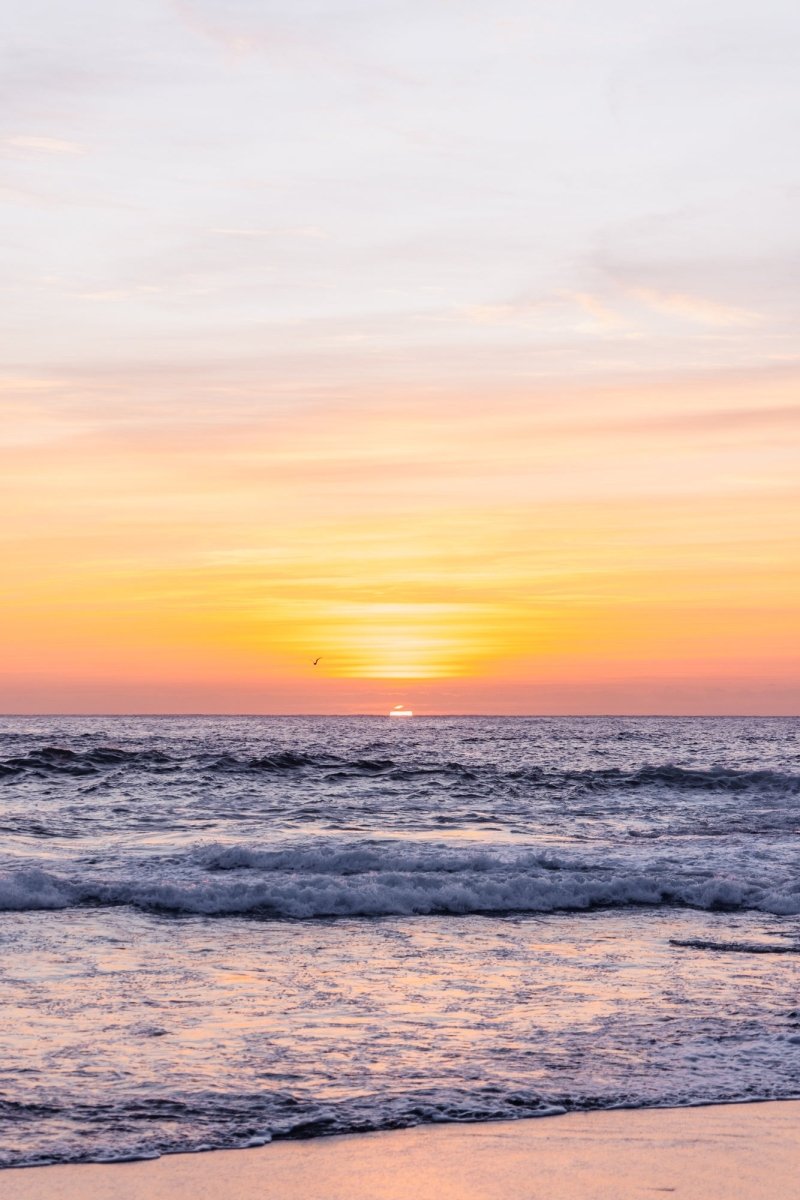 "Surf Beach Sunshine" (P) Photography Print - Belinda Doyle - Australian Photographer & Resin Artist